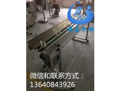 双链条入料输送机